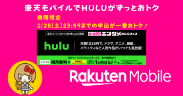 【裏技】Hulu月額を永年20%ポイント還元！2/28までの申込で翌月全額ポイント還元！